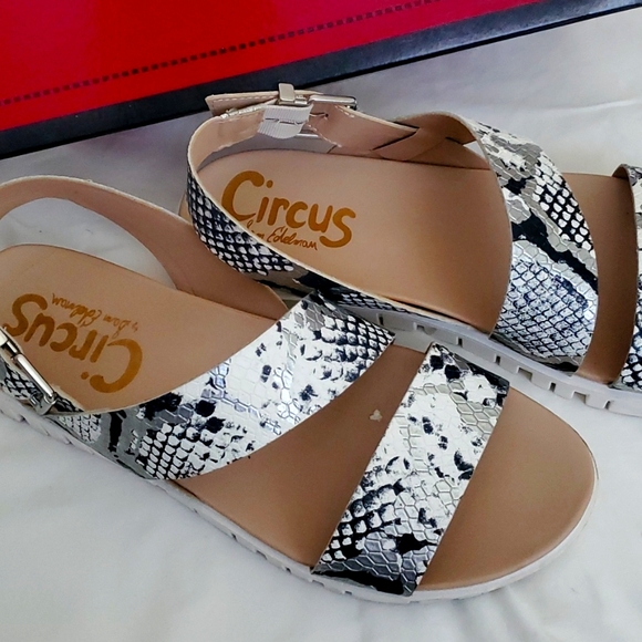 Circus by Sam Edelman Sandle - Picture 3 of 3